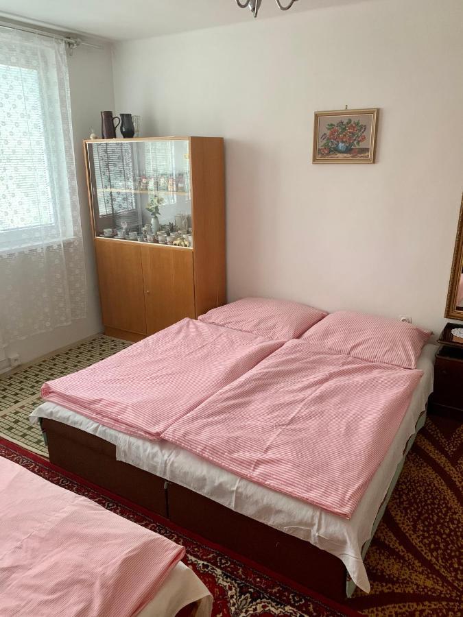 Cely Byt Zelnava公寓 外观 照片